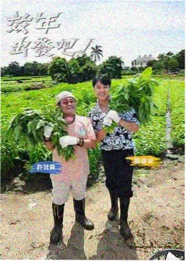 人生加减法